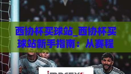 西协杯买球站_西协杯买球站新手指南：从赛程到数据面板的完整路径(西协杯买球站)-网上热门押球网登录交流攻略排名回放无广告