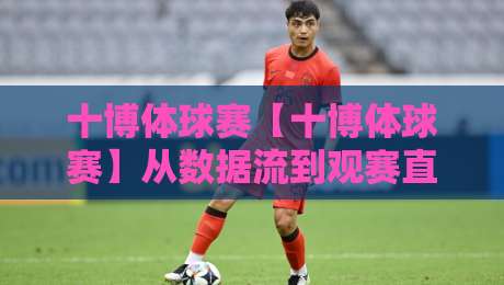 十博体球赛【十博体球赛】从数据流到观赛直觉：2026年体育赛事内容消费的新节奏-线上十大最稳堵球网在线看评级时间推荐直播源不卡顿