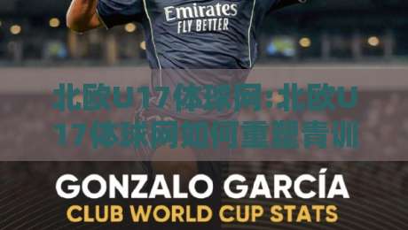北欧U17体球网:北欧U17体球网如何重塑青训赛事体验?【北欧U17体球网】从数据到场景的进阶之路-网上热门博球站导航小球粤语解说高水贴水在线