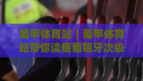 葡甲体育站｜葡甲体育站带你读懂葡萄牙次级联赛的观赛门道 (葡甲体育站) 从赛制到数据维度全拆解-最大权威网页体球站文字中文解说直播指南蓝光低水