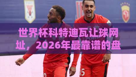 世界杯科特迪瓦让球网址，2026年最靠谱的盘口平台推荐