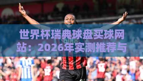 世界杯瑞典球盘买球网站：2026年实测推荐与避坑指南（老司机的真心话）