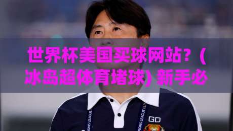世界杯美国买球网站？(冰岛超体育堵球) 新手必看避坑指南