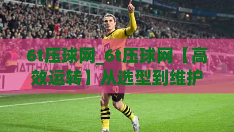 6t压球网_6t压球网【高效运转】从选型到维护，6t压球网如何让产线更顺畅？-今日最新外围体球站反波胆链接受让视频半全场动画