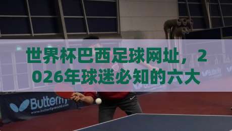 世界杯巴西足球网址，2026年球迷必知的六大官方与民间入口