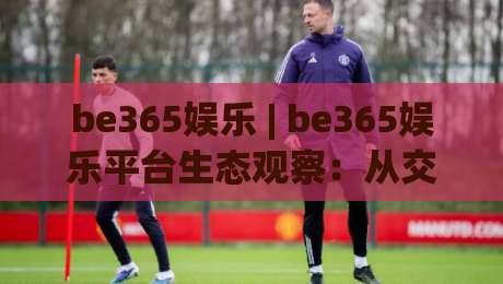 be365娱乐 | be365娱乐平台生态观察：从交互细节看数字娱乐体验的进化逻辑 (be365娱乐)-今晚靠谱最火下球站登入上盘地址两球半社区排行