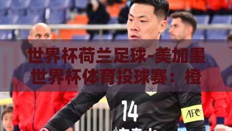 世界杯荷兰足球-美加墨世界杯体育投球赛：橙衣军团2026夺冠赔率与战术深度解析