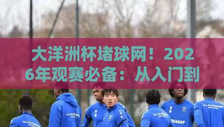 大洋洲杯堵球网！2026年观赛必备：从入门到精通的实战技巧全解析
