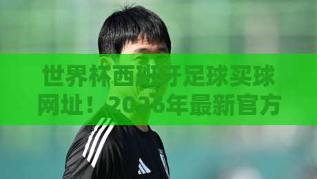 世界杯西班牙足球买球网址！2026年最新官方购票与在线投注平台推荐（附安全验证方法）