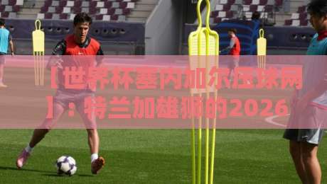 【世界杯塞内加尔压球网】: 特兰加雄狮的2026防线，能撑到8强吗？
