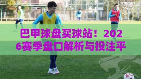 巴甲球盘买球站！2026赛季盘口解析与投注平台挑选指南