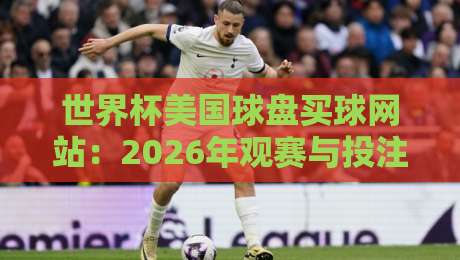 世界杯美国球盘买球网站：2026年观赛与投注指南，这些细节你注意到了吗？