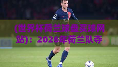 (世界杯荷兰球盘买球网站)：2026年荷兰队夺冠赔率与实战指南