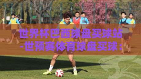 世界杯巴西球盘买球站-世预赛体育球盘买球：2026世预赛南美区，巴西队球盘深度解析与实战技巧