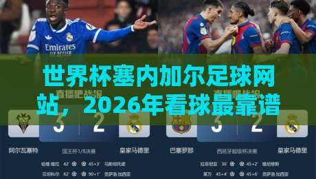 世界杯塞内加尔足球网站，2026年看球最靠谱的入口在这儿哩！