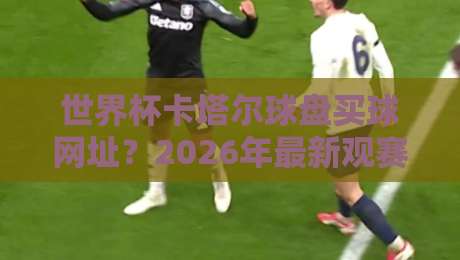 世界杯卡塔尔球盘买球网址?2026年最新观赛指南与理性提醒 世界杯卡塔尔球盘买球网址?2026年最新观赛指南与理性提醒