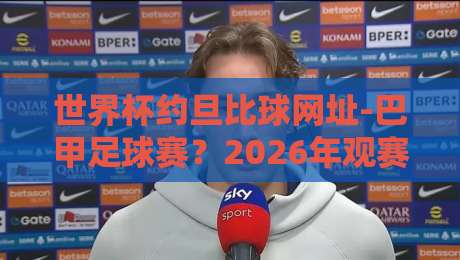世界杯约旦比球网址-巴甲足球赛？2026年观赛指南来了