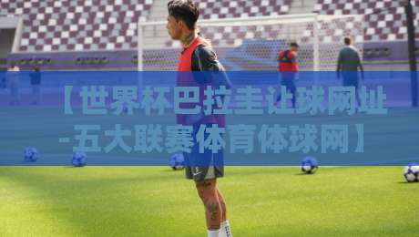 【世界杯巴拉圭让球网址-五大联赛体育体球网】！2026年球迷必看指南