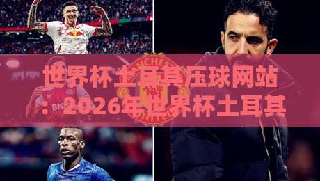 世界杯土耳其压球网站：2026年世界杯土耳其投注平台全解析（世界杯土耳其压球网站）风险与机遇并存