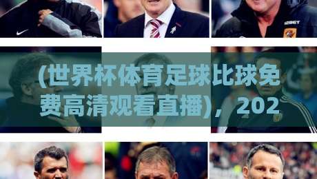 (世界杯体育足球比球免费高清观看直播)，2026观赛指南全解析